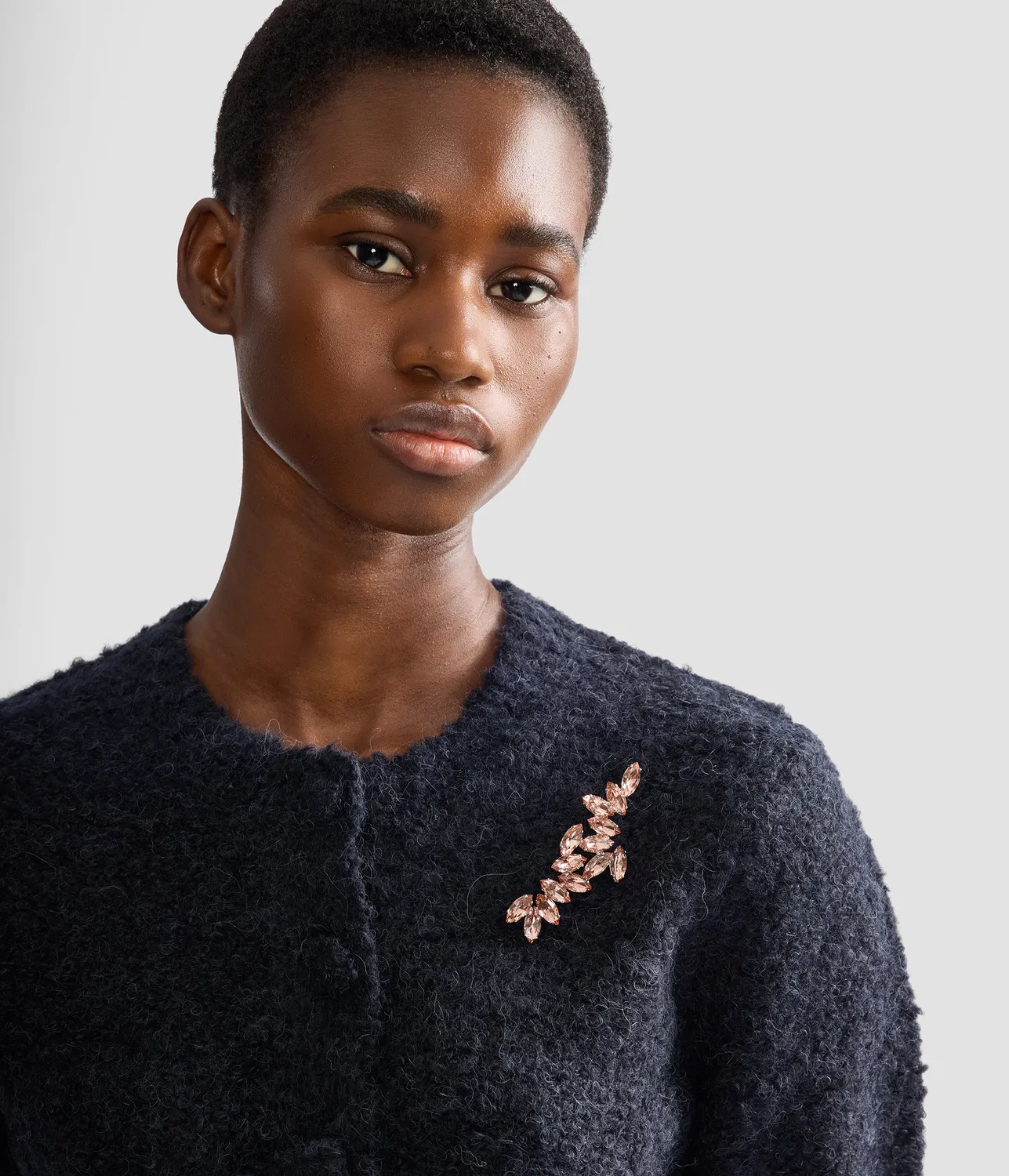 Erdem Crystal spilla cristalli vetro argentata